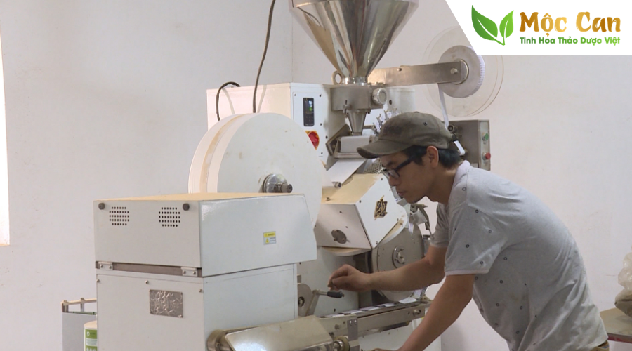 Dây thìa canh lá to - thảo dược tốt nhất cho người tiểu đường 1